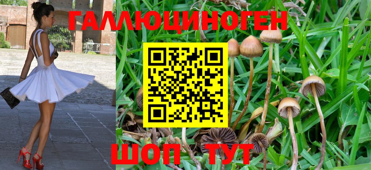 Псилоцибиновые грибы мухоморы Хасавюрт