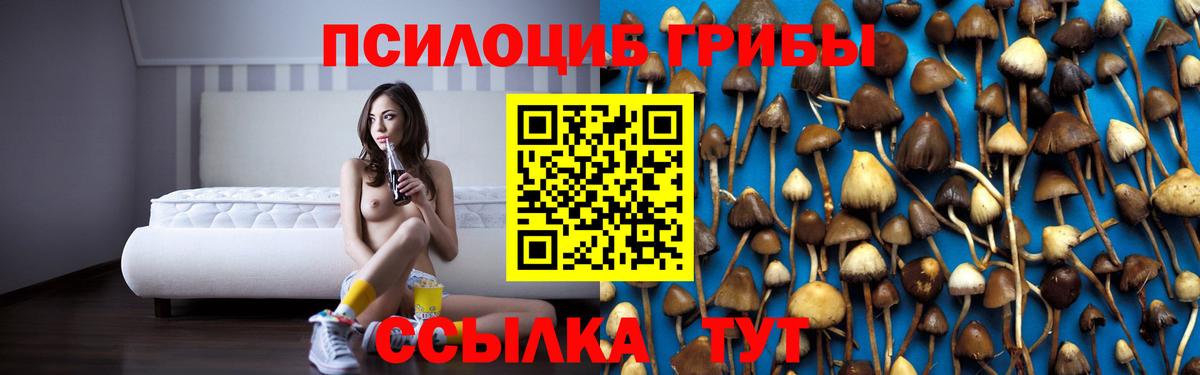 Псилоцибиновые грибы Magic Shrooms  Вход с VPN  Хасавюрт 